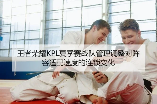 王者荣耀KPL夏季赛战队管理调整对阵容适配速度的连锁变化